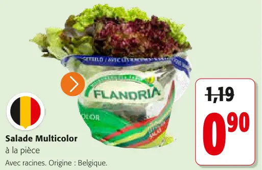 Offre: Salade Multicolor