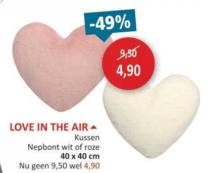Promotie: LOVE IS IN THE AIR Kussen