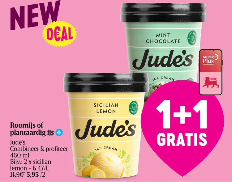 Offre: Roomijs of plantaardig ijs