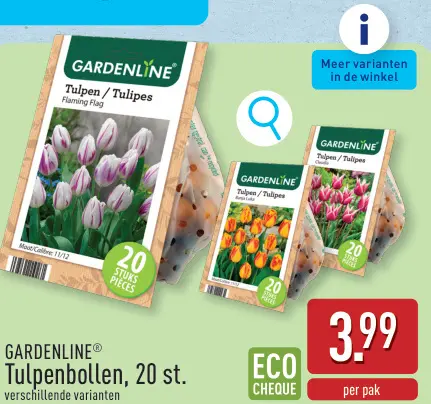 Promotie: Tulpenbollen