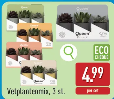 Promotie: Vetplantenmix