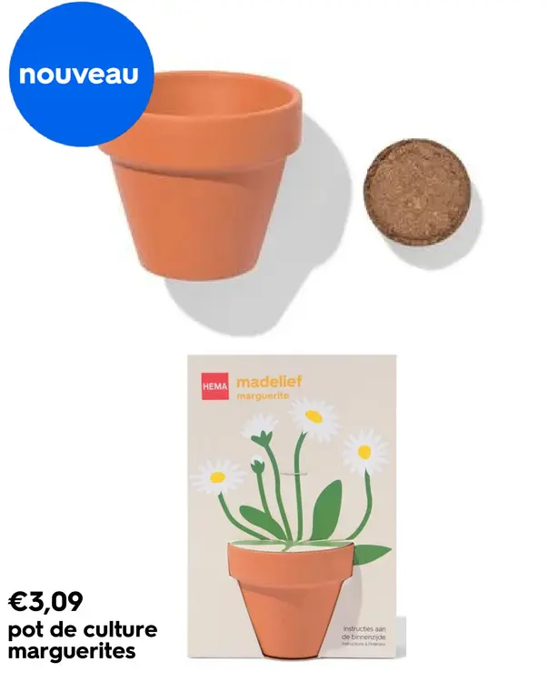 Offre: pot de culture marguerites
