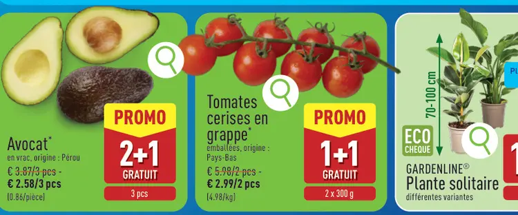 Offre: Avocat