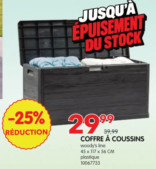 Offre: Coffre à coussins