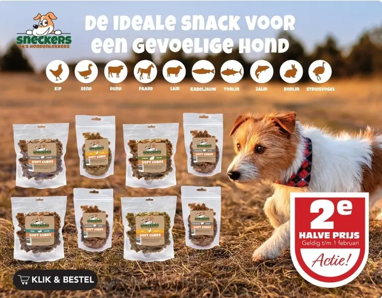 Aanbieding: Soft Cubes