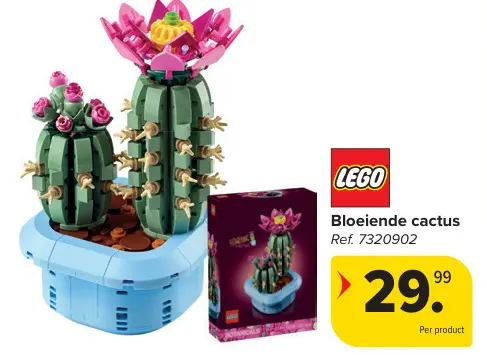Promotie: Bloeiende cactus