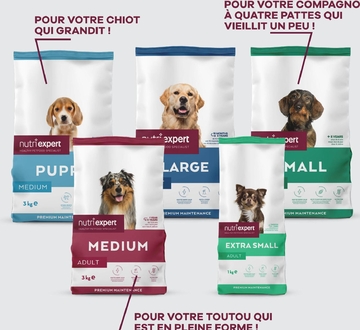 Offre: PUPPY MEDIUM Premium Maintenance