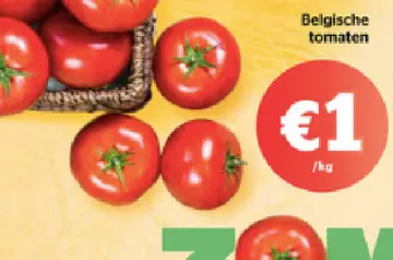Aanbieding: Belgische tomaten