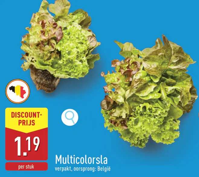 Promotie: Multicolorsla