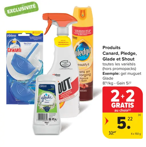 Offre: Produits Canard, Pledge, Glade et Shout