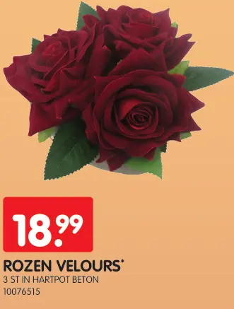 Promotie: Rozen velours
