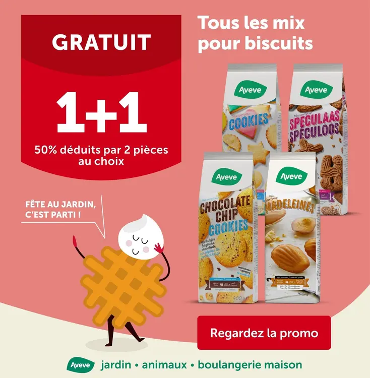 Offre: Mix pour biscuits