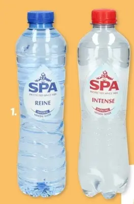 Aanbieding: Spa Intense of Reine