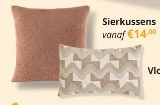 Promotie: Sierkussens