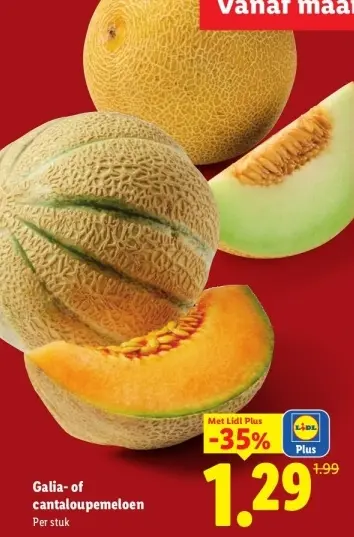 Aanbieding: Galia- of cantaloupemeloen