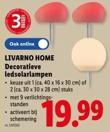 Promotie: Decoratieve ledsolarlampen