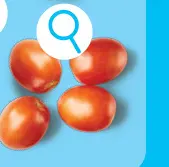 Offre: Tomates roma