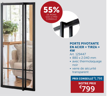 Offre: PORTE PIVOTANTE EN ACIER " TIRZA "