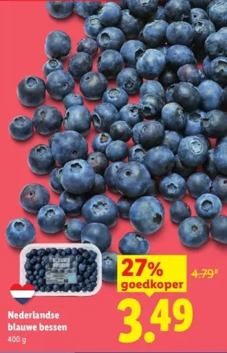 Aanbieding: Nederlandse blauwe bessen