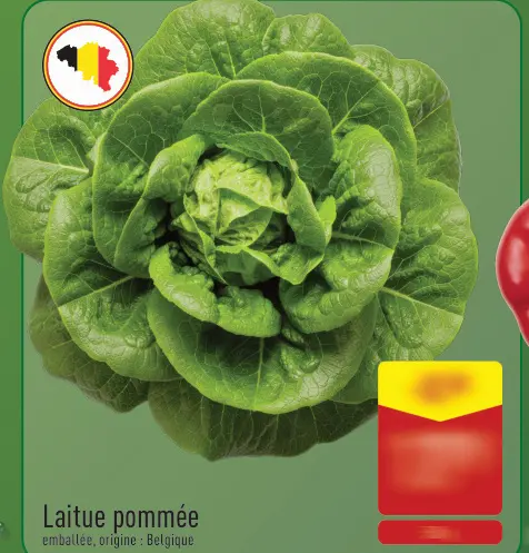 Offre: Laitue pommée