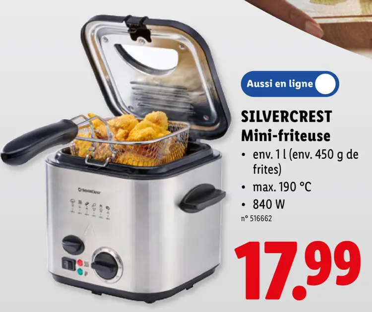 Offre: Mini-friteuse