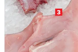 Promotie: Gekuiste rogvleugel