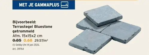 Promotie: Terrastegel Bluestone