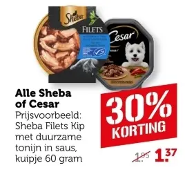 Aanbieding: Alle Sheba of Cesar