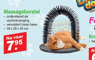 Aanbieding: Massageborstel