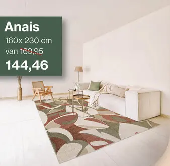 Aanbieding: Anais vloerkleed