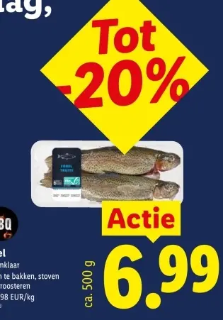 Promotie: Forel Truite