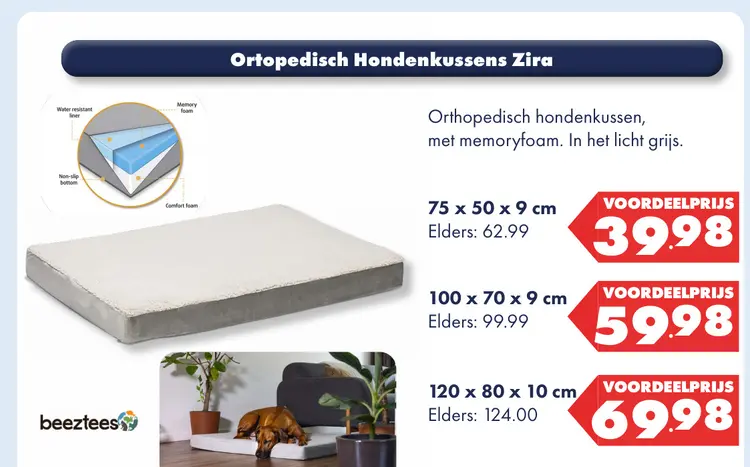Aanbieding: Ortopedisch Hondenkussens Zira