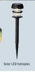 Promotie: Solar LED tuinspies