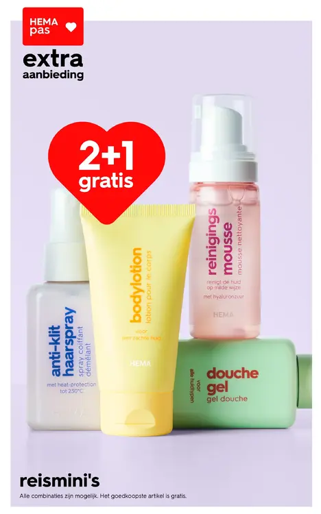 Aanbieding: Reismini's