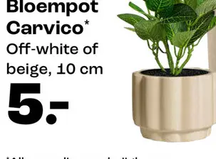 Promotie: Bloempot Carvico