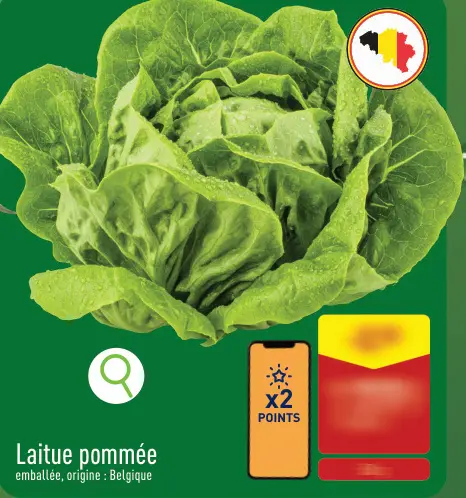 Offre: Laitue pommée