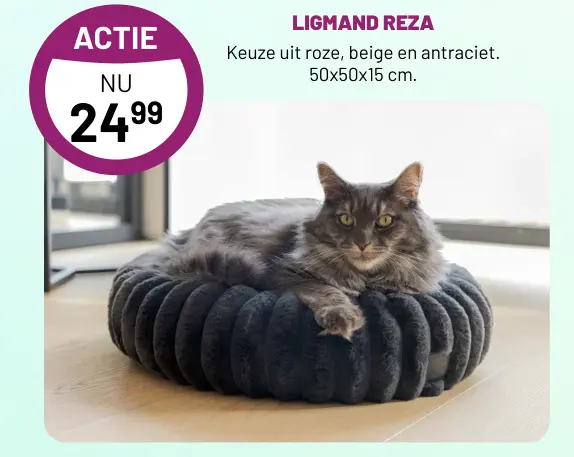 Aanbieding: Ligmand reza