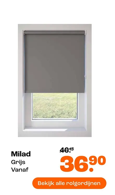 Aanbieding: Milad