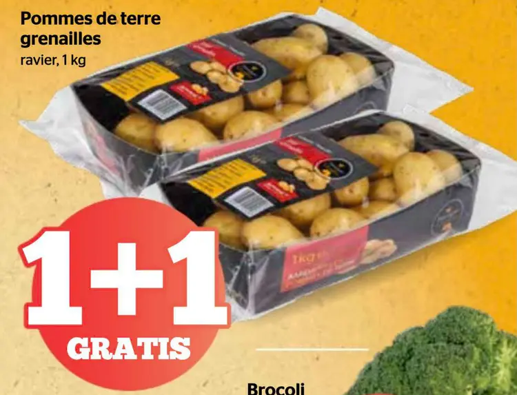 Offre: Pommes de terre grenailles