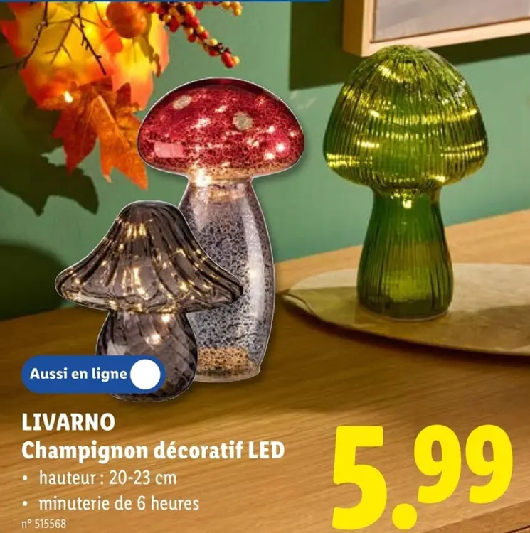 Offre: LIVARNO Champignon décoratif LED