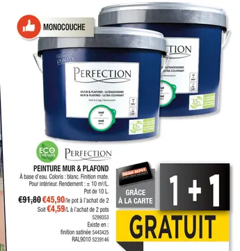 Aanbieding: Perfection peinture mur & plafond