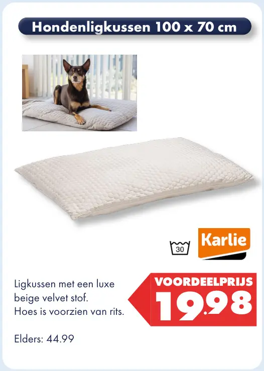 Aanbieding: Hondenligkussen 100 x 70 cm