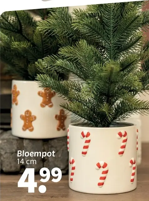 Promotie: Bloempot