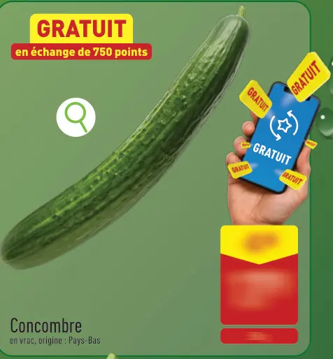 Offre: Concombre