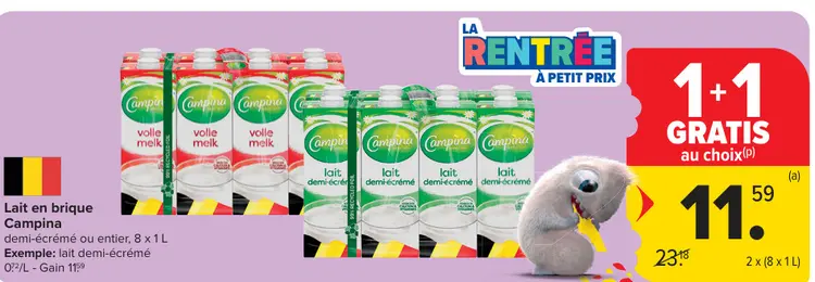 Offre: Lait en brique