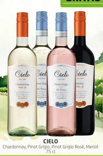 Offre: Cielo