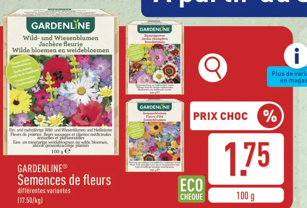 Offre: Semences de fleurs