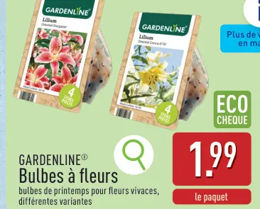 Offre: Bulbes à fleurs