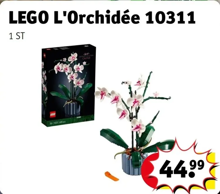 Offre: L'Orchidée 10311
