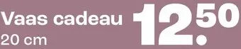 Promotie: Vaas cadeau